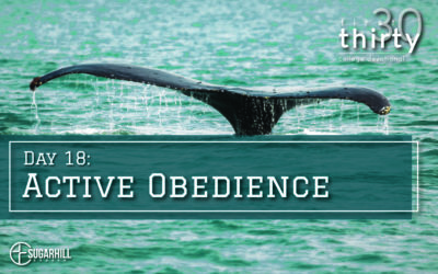 Day 18 – Active Obedience