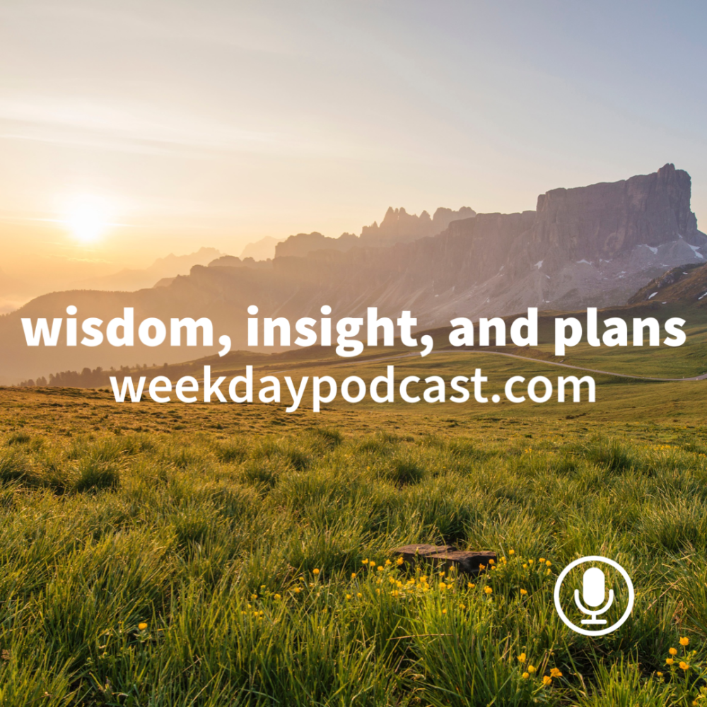 Wisdom, Insight, and Plans