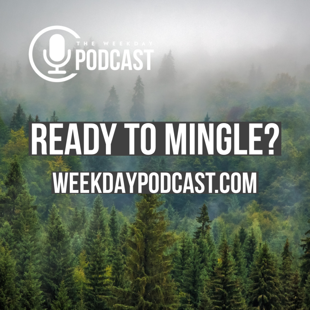 Ready to Mingle?