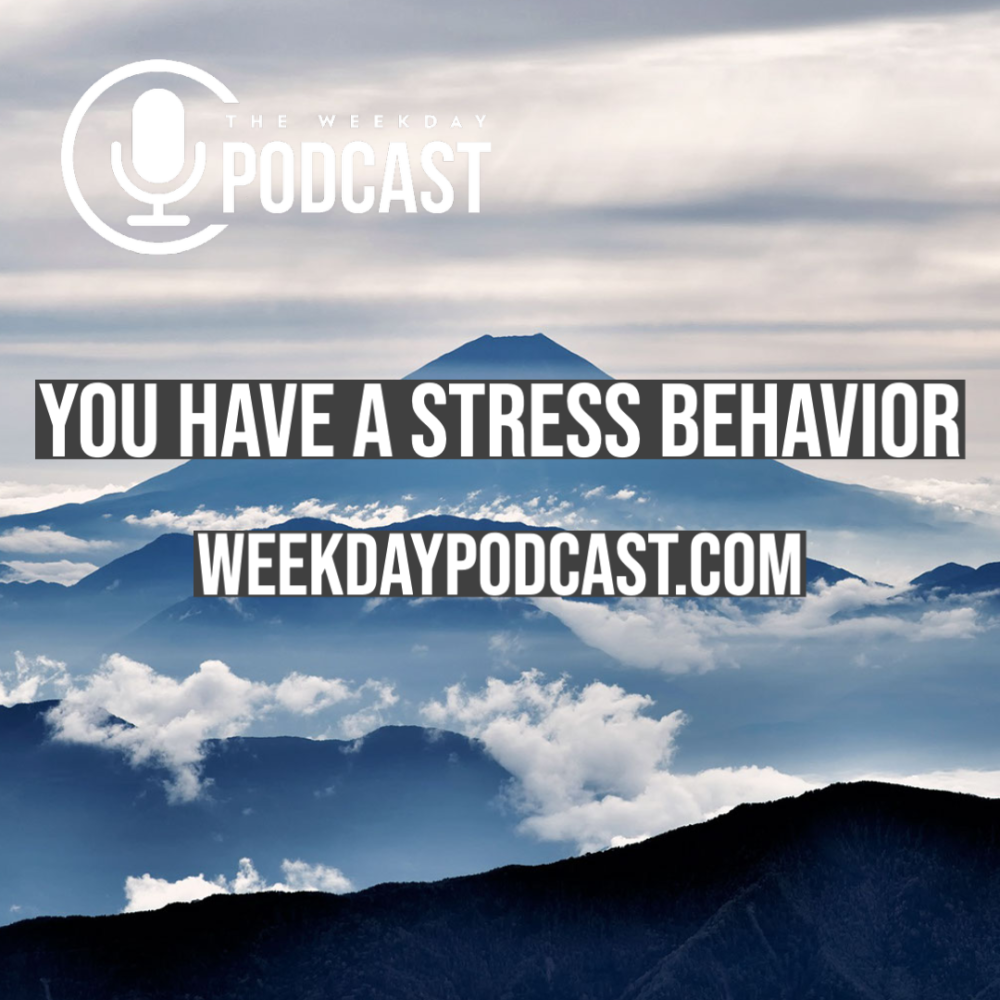 You Have a Stress Behavior
