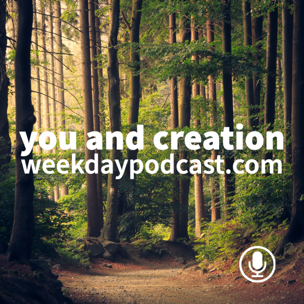 You and Creation