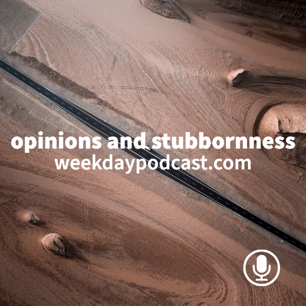 Opinions and Stubbornness