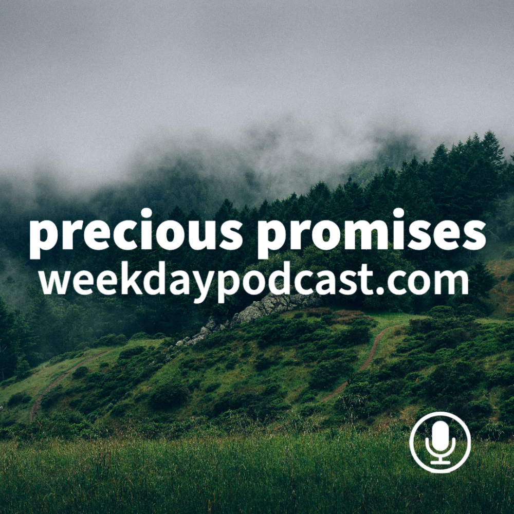 Precious Promises Image